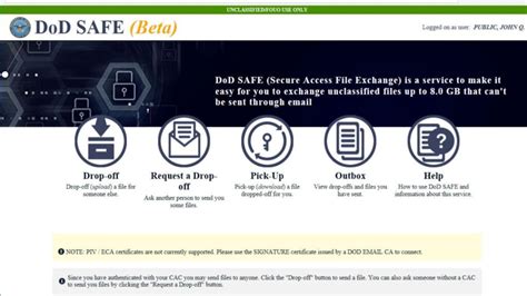 dodsafelink|dod safe portal.
